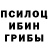 Псилоцибиновые грибы мицелий Anus Huanus