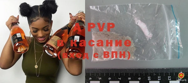 твердый Богданович