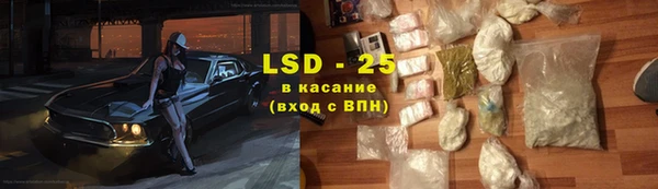 твердый Богданович