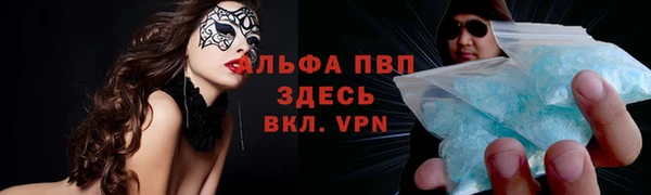 твердый Богданович