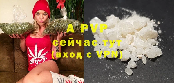 твердый Богданович