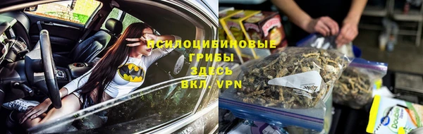 твердый Богданович