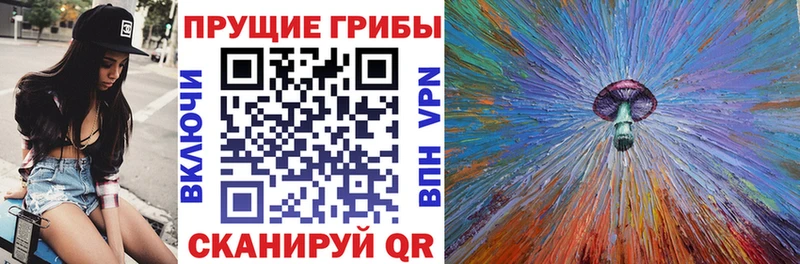 Псилоцибиновые грибы Psilocybe  как найти наркотики  Невель 